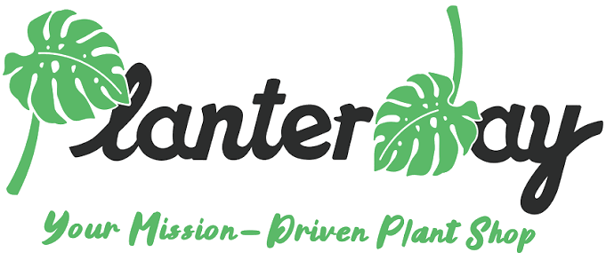 Planterday logo with green botanical lettering and the words Your Mission-Driven Plant Shop